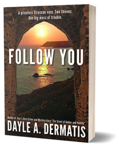 Book Cover: Follow You