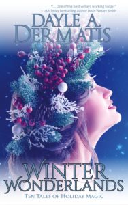 Book Cover: Winter Wonderlands